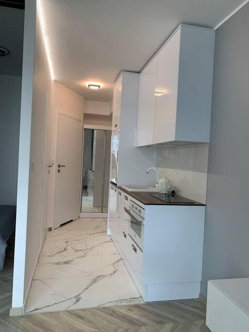 Olin Apartament A -Gdansk Angielska Grobla Zewnętrze zdjęcie